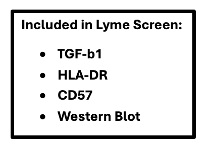 Lyme Bundle tests Lyme Bundle tests