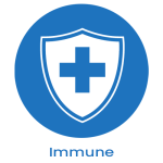 ANA Blood Test (164865)